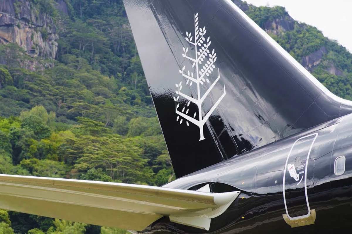 The Four Seasons Private Jet: A Guide to Destinations and Itineraries